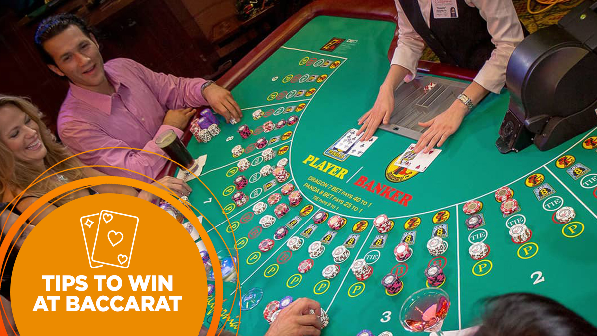 www.dumanbet786.com Engellendi, Yeni Adresi www.dumanbet787.com